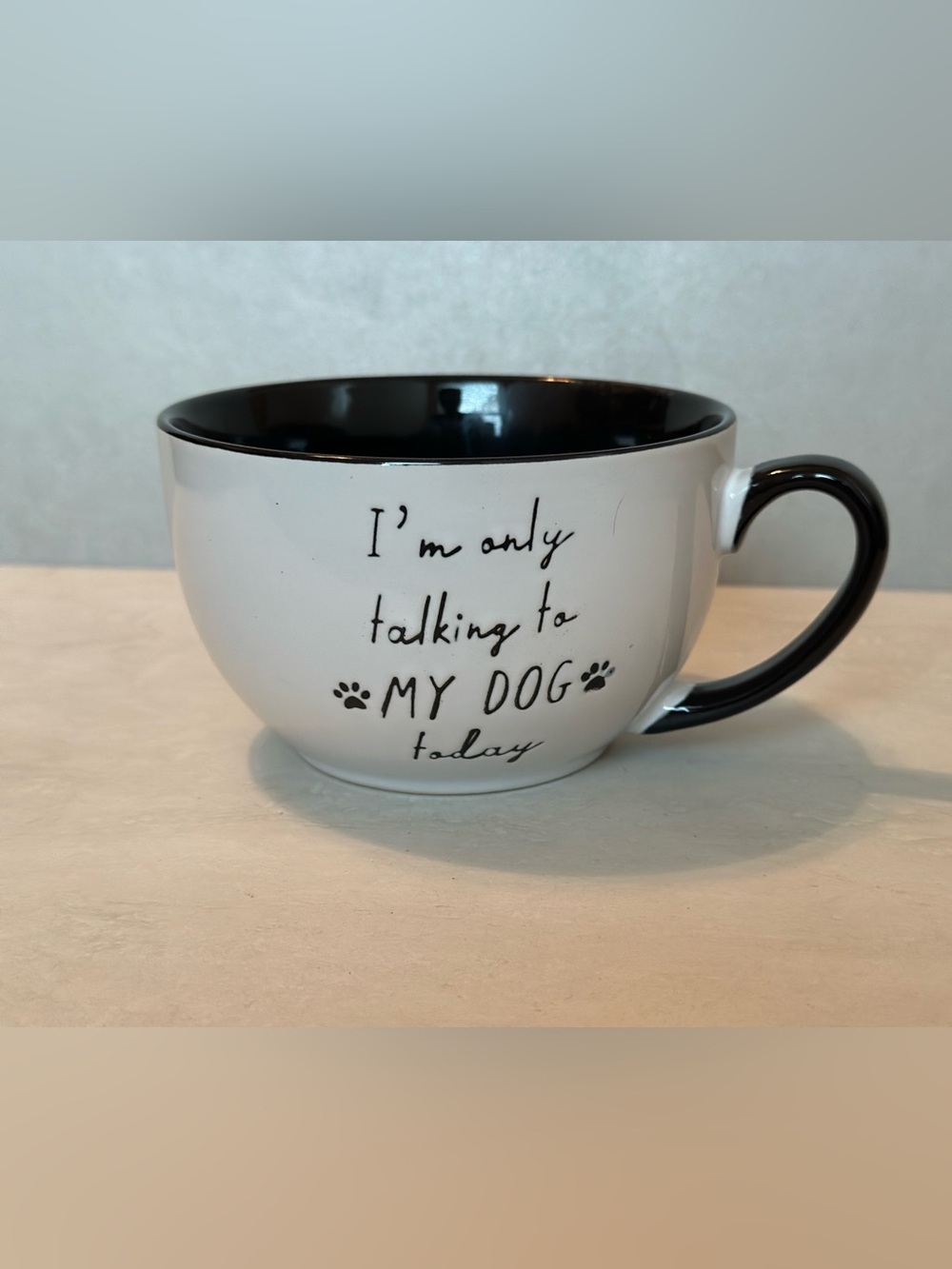 “I'm Only Talking to My Dog Today” Mug Pet Owner Coffee Cup White/Black Kirkland